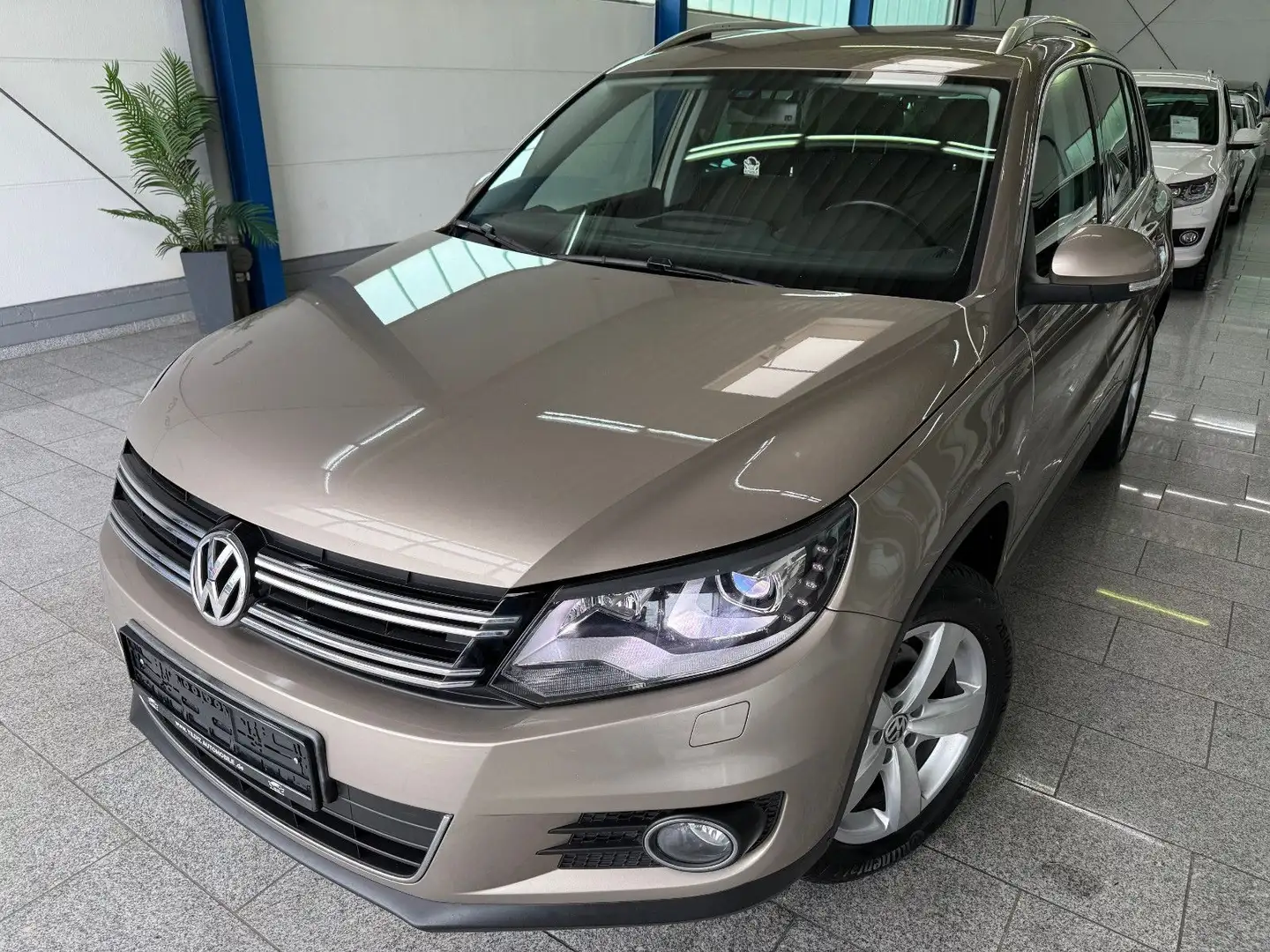 Volkswagen Tiguan 1.4 TSI*SPORT&STYLE*BI-XEN*SHZ*AHK*DYNAUD Beige - 1