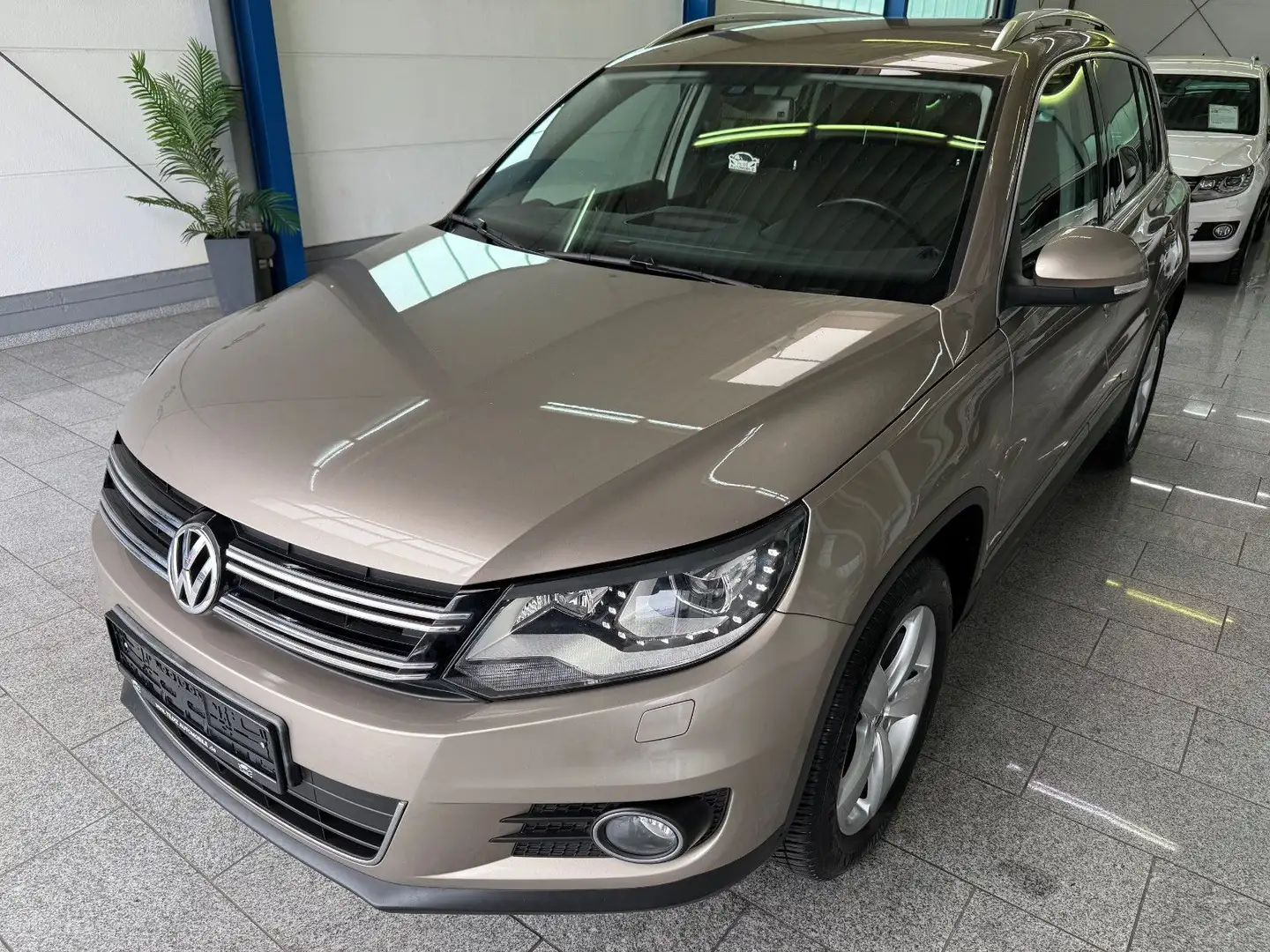 Volkswagen Tiguan 1.4 TSI*SPORT&STYLE*BI-XEN*SHZ*AHK*DYNAUD Beige - 2