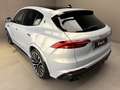 Maserati Grecale Grecale 3.0 V6 Trofeo 530cv auto Bianco - thumbnail 4