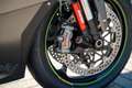 Kawasaki Ninja ZX-10RR - thumbnail 18