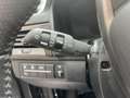 SsangYong Musso 2.2D 4X4 SPORT | EXPORT/MARCHAND UNIQUEMENT Gris - thumbnail 14