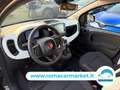Fiat Panda 1.0 firefly hybrid s&s 70cv 5p.ti KMCERTIFICAT Nero - thumbnail 9