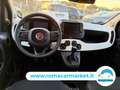 Fiat Panda 1.0 firefly hybrid s&s 70cv 5p.ti KMCERTIFICAT Nero - thumbnail 8
