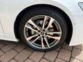 Audi A6 Avant 50 TDI quattro sport *Matrix, AHK, 2x S-Lin Weiß - thumbnail 6