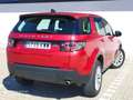 Land Rover Discovery Sport 2.0TD4 Pure 4x4 Aut. 150 Czerwony - thumbnail 5
