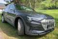 Audi e-tron e-tron 55 quattro 95kWh Advanced, Matrix, B&O, S-Line Grau - thumbnail 5