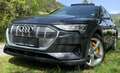 Audi e-tron e-tron 55 quattro 95kWh Advanced, Matrix, B&O, S-Line Grau - thumbnail 2