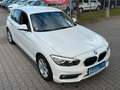 BMW 116 i 1 Lim. 5-trg. 116 i Advantage*MFL*6.G*PDC** Blanc - thumbnail 19