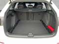 Volkswagen Golf VIII Variant R-Line 2,0 l TDI SCR DSG,AHK,E Weiß - thumbnail 5
