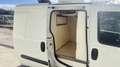 Fiat Doblo 1.6mjt 16v FRIGO-CONGELATORE 2ZONE ATP DARINNOVARE Blanc - thumbnail 10
