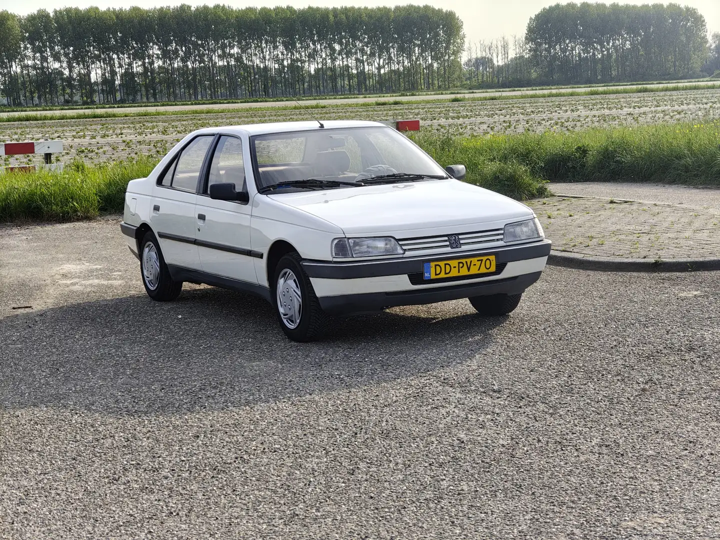Peugeot 405 GLX - 1