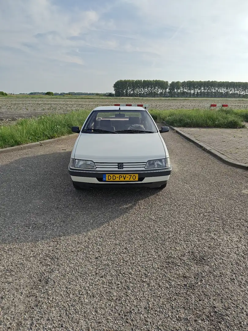 Peugeot 405 GLX - 2