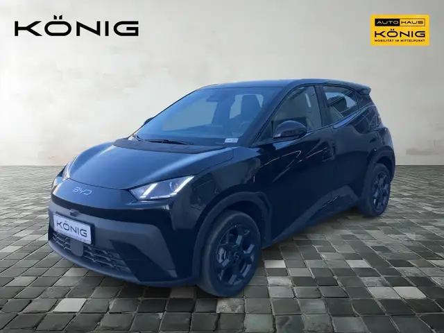 BYD Dolphin SURF Boost