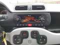 Fiat Panda City Cross FireFly Hybrid 70 Blau - thumbnail 9