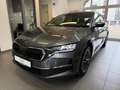 Skoda Octavia 1.5 TSI mHEV Selection DSG Grau - thumbnail 3