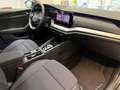 Skoda Octavia 1.5 TSI mHEV Selection DSG Grau - thumbnail 7