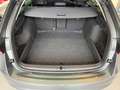 Skoda Octavia 1.5 TSI mHEV Selection DSG Grau - thumbnail 6