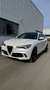 Alfa Romeo Stelvio Quadrifoglio 2,9 V6 ATX AWD - thumbnail 4