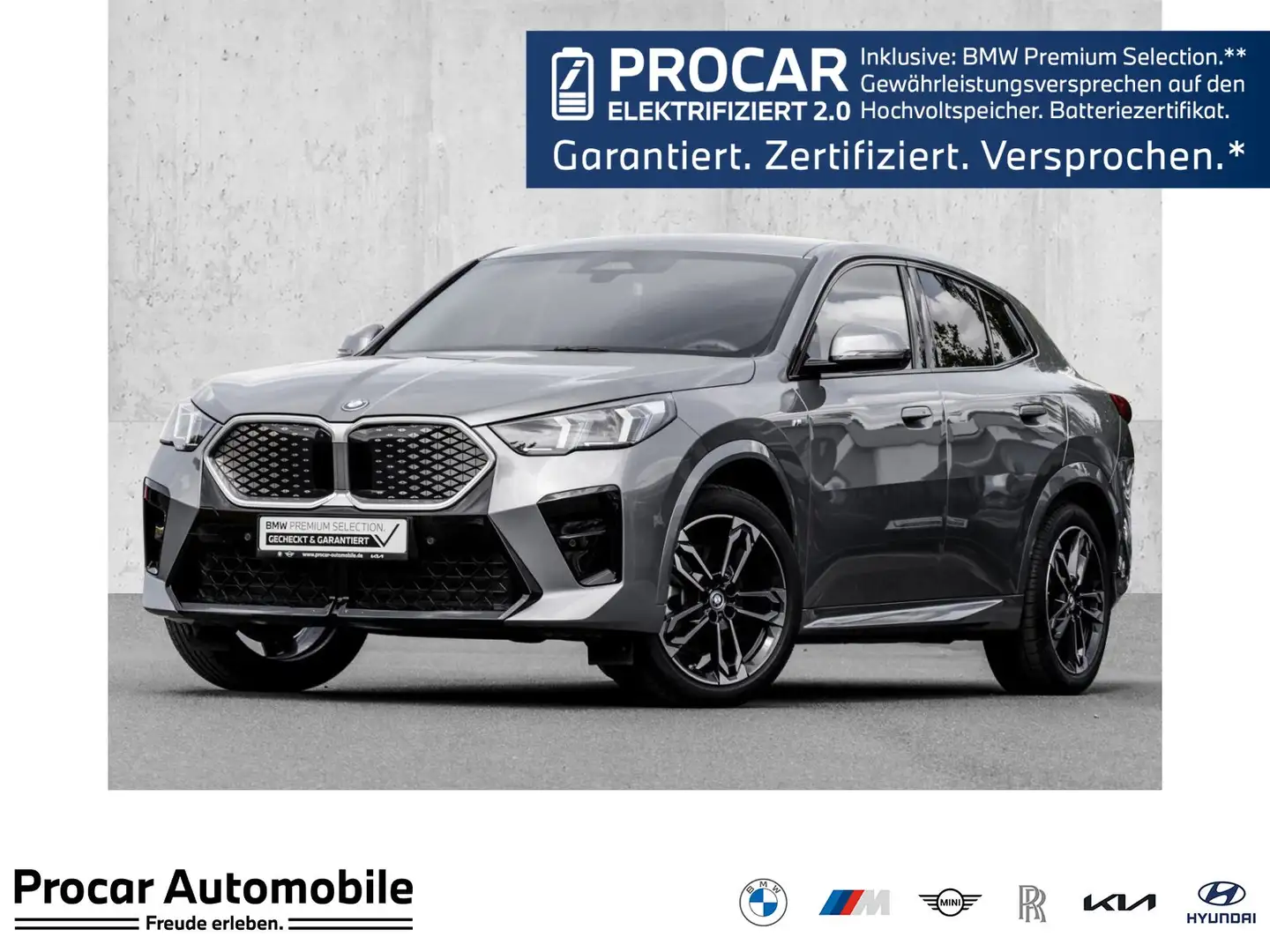BMW iX2 ADAPT.LED+HuD+PA PLUS+SHZ Grau - 1