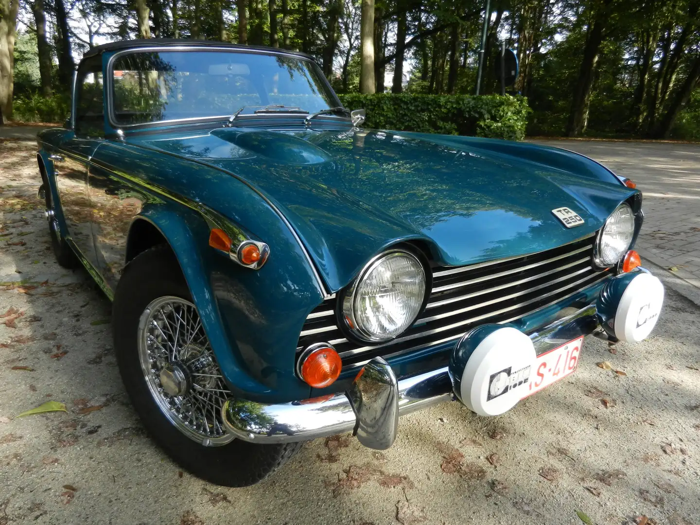 Triumph TR5 TR 250 Azul - 1