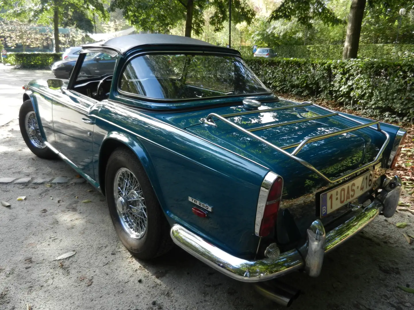 Triumph TR5 TR 250 Azul - 2