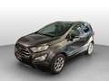 Ford EcoSport EcoSport 1.5 ecoblue Titanium s&s 100cv my19 Gris - thumbnail 1