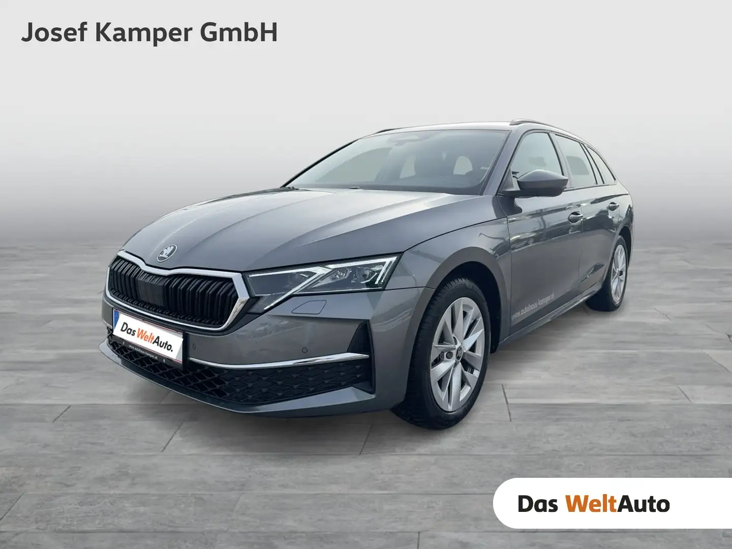Skoda Octavia Selection TDI DSG Grau - 1