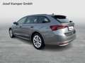 Skoda Octavia Selection TDI DSG Grau - thumbnail 5
