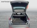 Skoda Octavia Selection TDI DSG Grau - thumbnail 19