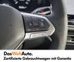 Volkswagen Tiguan R-Line TDI DSG Grau - thumbnail 15