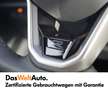 Volkswagen Tiguan R-Line TDI DSG Grau - thumbnail 16