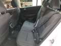 Kia Sportage 1.7CRDi VGT Eco-Dynamics Drive 4x2 Blanco - thumbnail 9