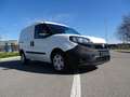 Fiat Doblo CARGO CH1 LOUNGE 1.6 Mjet 105cv E6D S&S Bianco - thumbnail 5