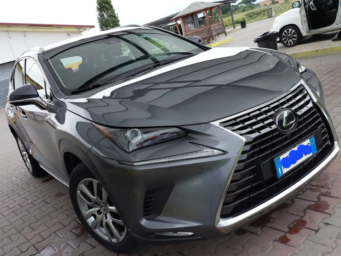 Lexus NX 300h 2.5 Business 4wd cvt Grigio - 1