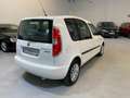 Skoda Roomster 1.2TDI CR Ambition 75 Wit - thumbnail 4