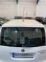 Skoda Roomster 1.2TDI CR Ambition 75 Wit - thumbnail 19