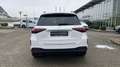Mercedes-Benz GLE 53 AMG Mercedes-AMG GLE 53 4M+ Night+AHK+HUD+Burm+Distr Weiß - thumbnail 6