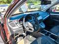 Honda CR-V 2.0 i-MMD HYBRID 2WD Lifestyle Braun - thumbnail 13