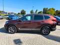 Honda CR-V 2.0 i-MMD HYBRID 2WD Lifestyle Braun - thumbnail 3