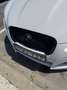 Jaguar XF 2.2 Diesel Sport - thumbnail 12