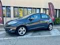 Ford Fiesta Gris - thumbnail 1