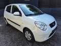 Kia Picanto |ERSTBESITZ|NUR 23.400 KM|PICKERL NEU|SERVICE NEU| Weiß - thumbnail 5