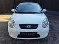 Kia Picanto |ERSTBESITZ|NUR 23.400 KM|PICKERL NEU|SERVICE NEU| Weiß - thumbnail 3