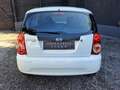 Kia Picanto |ERSTBESITZ|NUR 23.400 KM|PICKERL NEU|SERVICE NEU| Weiß - thumbnail 8