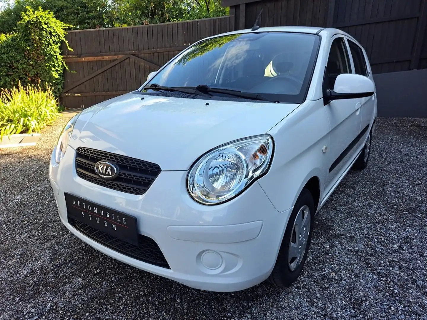 Kia Picanto |ERSTBESITZ|NUR 23.400 KM|PICKERL NEU|SERVICE NEU| Weiß - 1