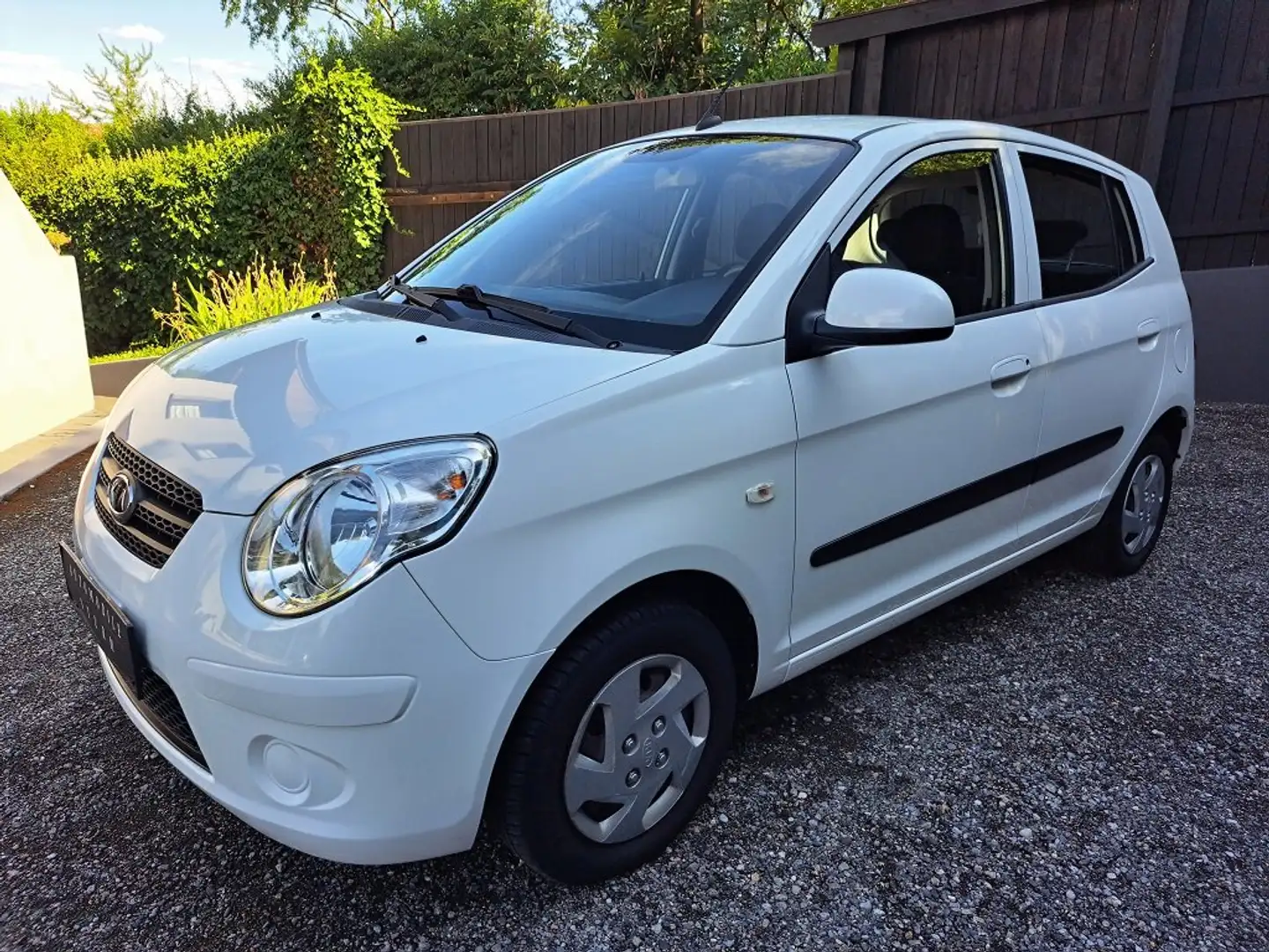 Kia Picanto |ERSTBESITZ|NUR 23.400 KM|PICKERL NEU|SERVICE NEU| Weiß - 2