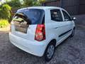Kia Picanto |ERSTBESITZ|NUR 23.400 KM|PICKERL NEU|SERVICE NEU| Weiß - thumbnail 7