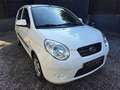 Kia Picanto |ERSTBESITZ|NUR 23.400 KM|PICKERL NEU|SERVICE NEU| Weiß - thumbnail 4