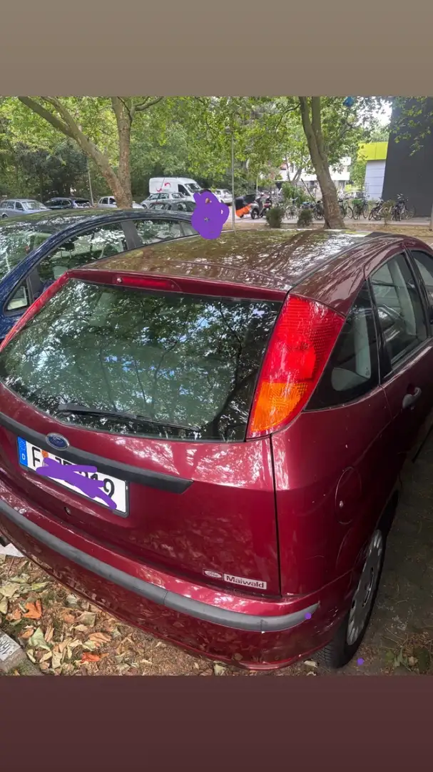 Ford Focus - 1