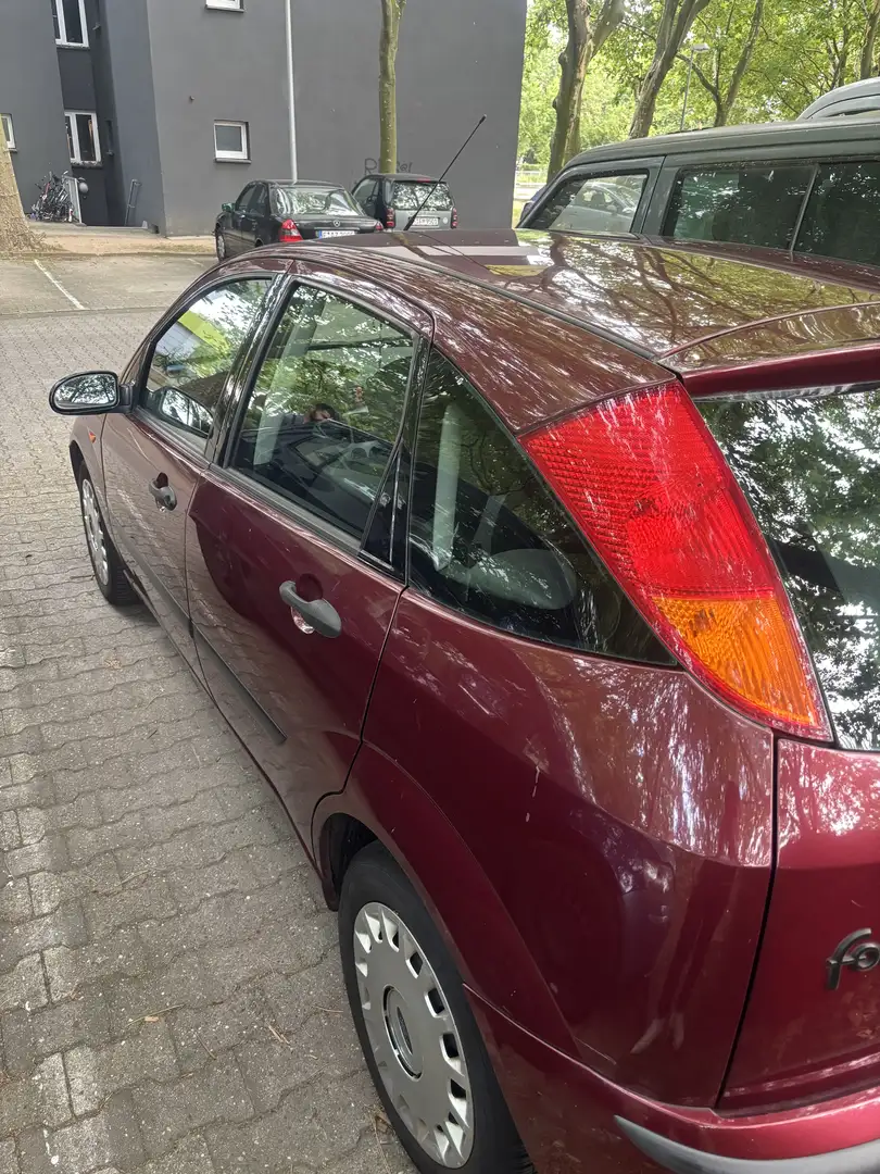 Ford Focus - 2